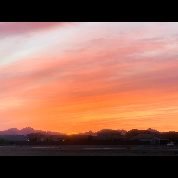 Meet your Posher, Starlyn - Picture 1 of 1